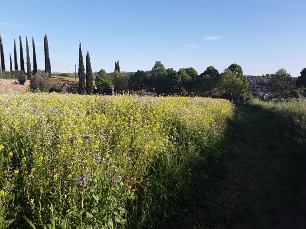 Agriturismo Fattoria Di Malavolta فلورنس المظهر الخارجي الصورة