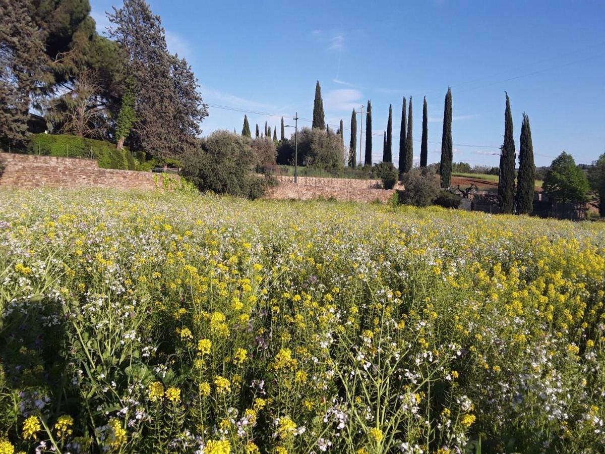 Agriturismo Fattoria Di Malavolta فلورنس المظهر الخارجي الصورة